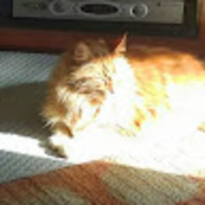 Meet your Posher, Kevin